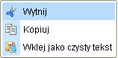 menu kontekstowe
