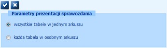 parametry prezentacji sprawozdania