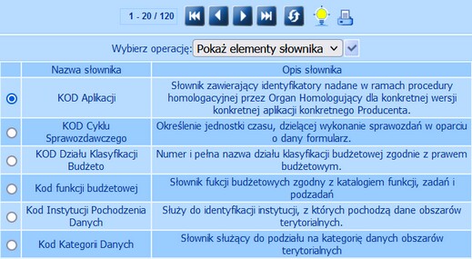 Slowniki_systemowe_cas